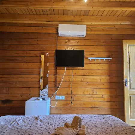 Accommodatie bij particulieren Casa Moata La *