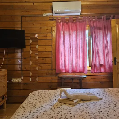 Casa Moața La Vama Veche